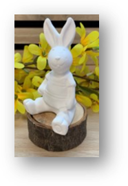 Hasenjunge mit Shirt